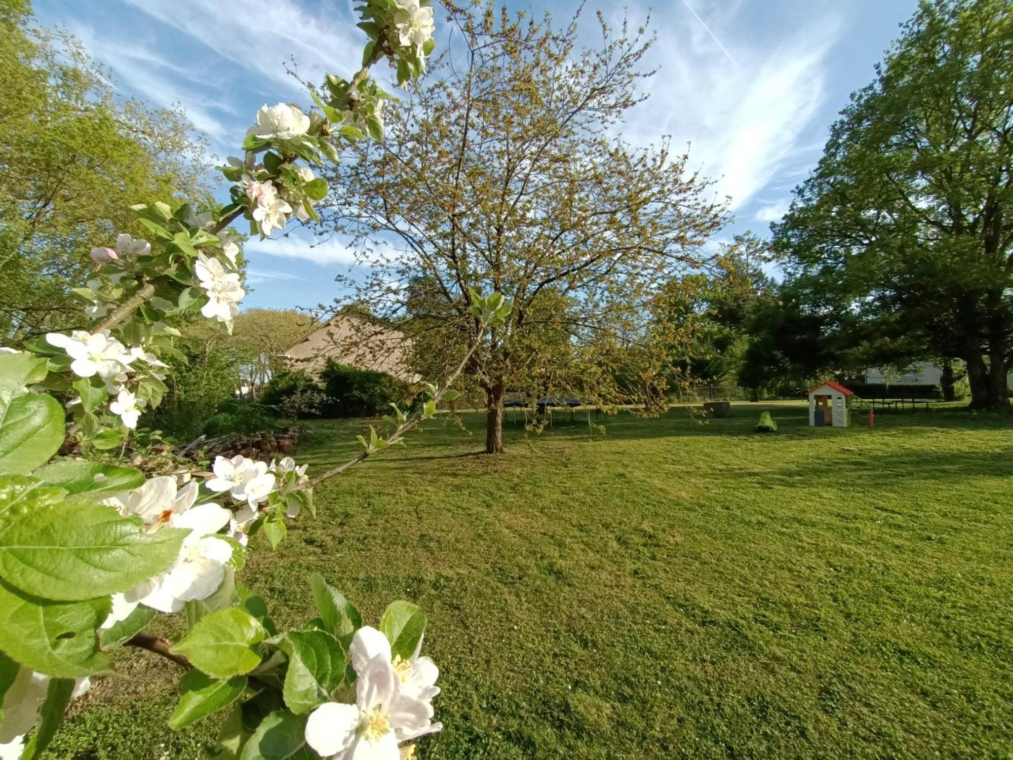 Gite Climatise Villa Esperanza 2 A 5 Personnes Valencay Exterior photo